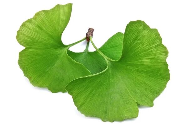 Το OstyHealth περιέχει ginkgo biloba